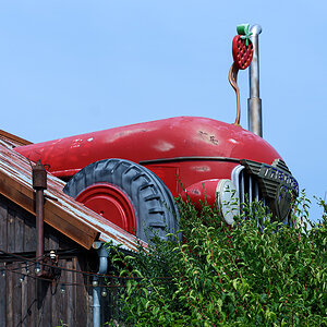 OF2_58021.jpg