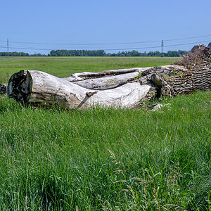OFZ_05087.jpg