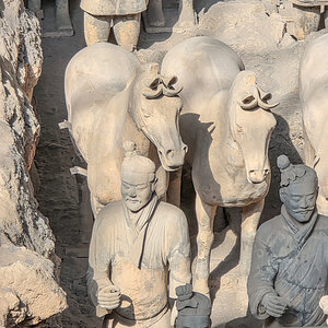 2026-04-01 13 Terracotta Army.jpg