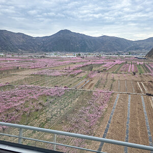 2026-04-02 04 Train to Xining.jpg