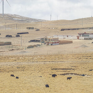 2026-04-03 45 Train to Lhasa.jpg