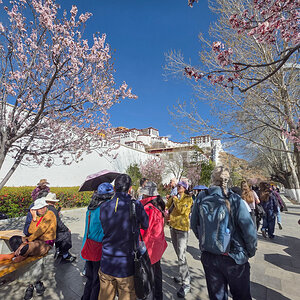 2026-04-05 12 Potala.jpg