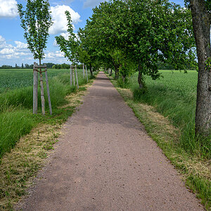 OFZ_05171.jpg