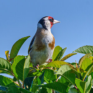 OF5_54487.jpg