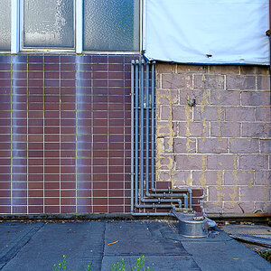 DSCF0550.jpg