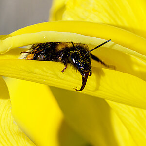 OF5_54534.jpg