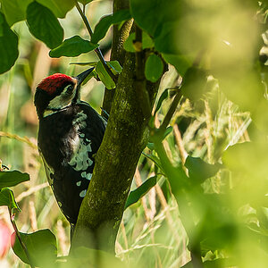 DSC_7669.jpg