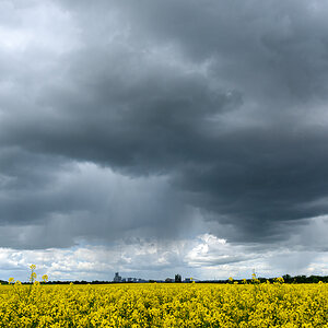 OF2_77340.jpg