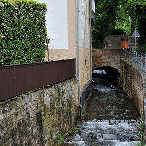 DSE_6453.JPG