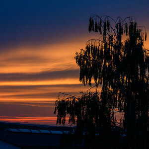 Sundown_PZ6_6205_web.jpg
