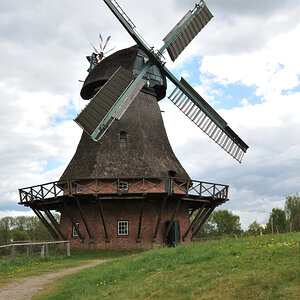 DSE_6600.JPG