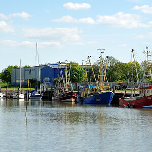 DSE_6479.JPG