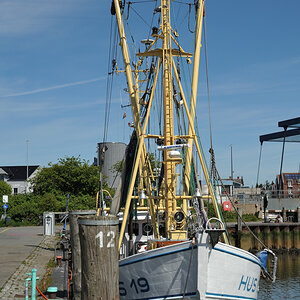 DSE_6481.JPG