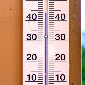 OF2_77832.jpg