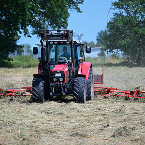 Z8A_1963t1l3fks40p1.jpg