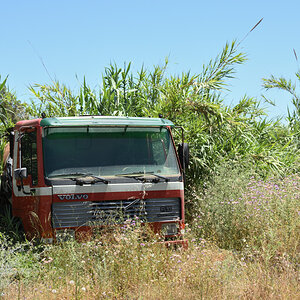 DSC_9803.JPG