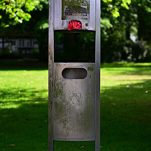 Z8A_1975t1l3fks40p1.jpg