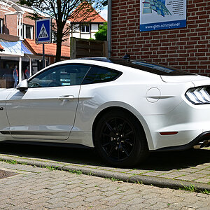 Z8A_1984t5l2fks35p1.jpg