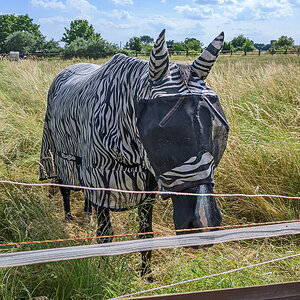 OFZ_05443.jpg