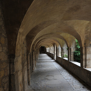 DSE_6628.JPG