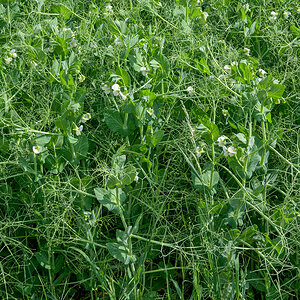 OFZ_05175.jpg