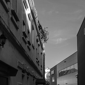 DSCF3111.jpg