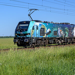 OFZ_04954.jpg