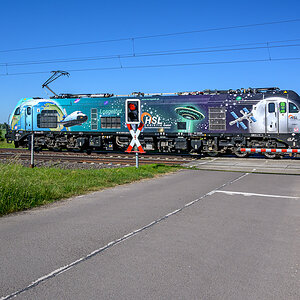 OFZ_04963.jpg