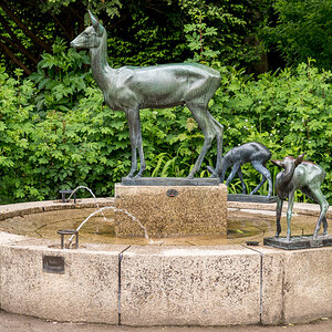 260521-D50_8760-Bearbeitet.jpg