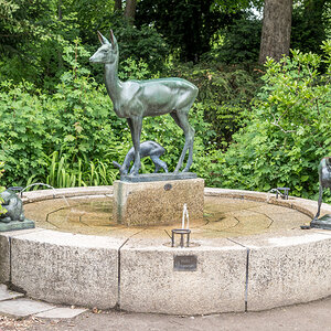 260521-D50_8770-Bearbeitet.jpg