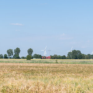 260620-D50_8826.jpg