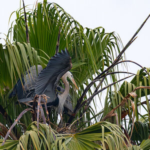 DSC_4230.jpg