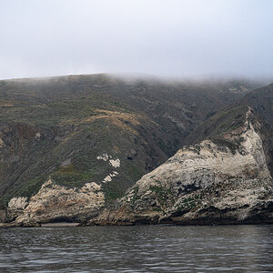 DSC_4321.jpg