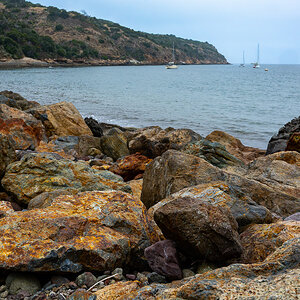 DSC_4329.jpg
