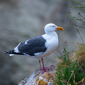 DSC_4563.jpg