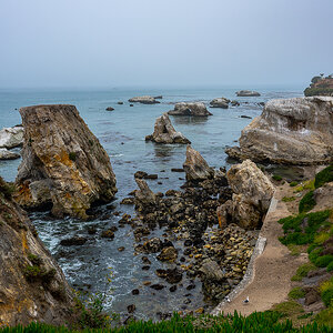 DSC_4564.jpg