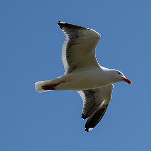 DSC_4631.jpg