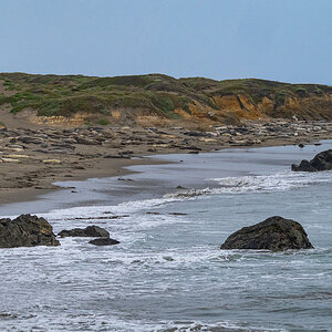 DSC_4697.jpg