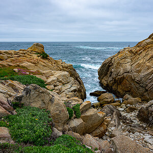 DSC_4760.jpg