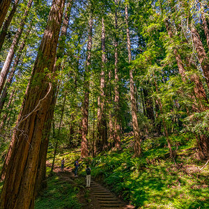 DSC_4937.jpg
