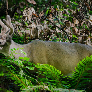 DSC_4938.jpg