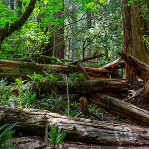 DSC_5044.jpg