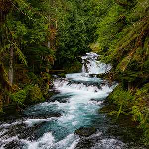 DSC_5164.jpg