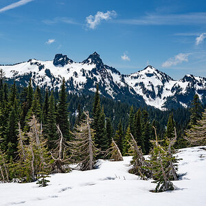 DSC_5348.jpg