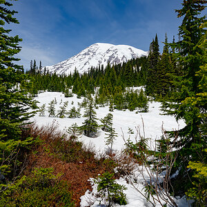 DSC_5352.jpg