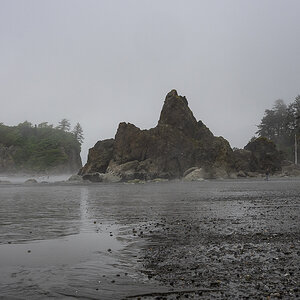 DSC_5457.jpg