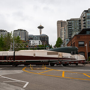 DSC_5673.jpg
