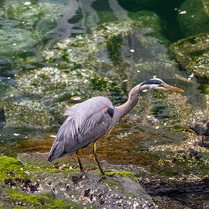 DSC_5682.jpg