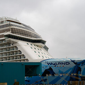 DSC_5685.jpg