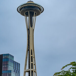 DSC_5688.jpg